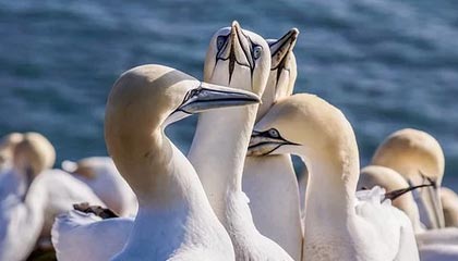 吴艳妮12秒98头名晋级全运会女子100米栏决赛